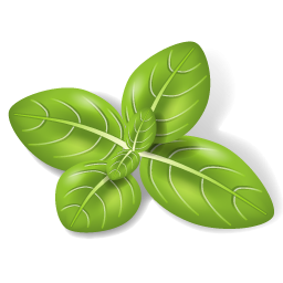 Herbs Leaves Icon PNG images