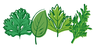 Transparent Png Herbs PNG images