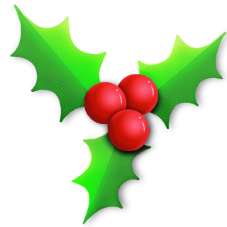 Icon Free Image Holly PNG images