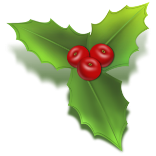 Holly Photos Icon PNG images