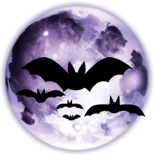Horror Bats Moon Png PNG images