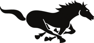 Horse Silhouette Icon PNG images