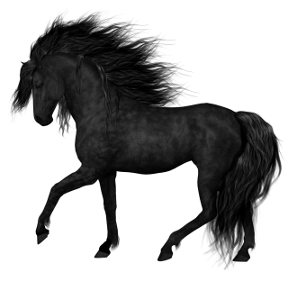 Horse PNG Image Transparent PNG images