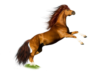 Download Horse Icon PNG images
