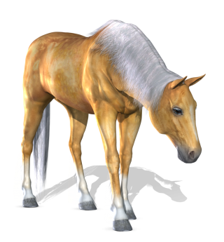 Download Png Horse High-quality PNG images