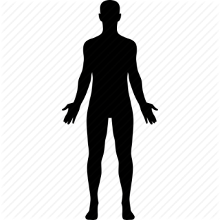 Vector Human Icon PNG images