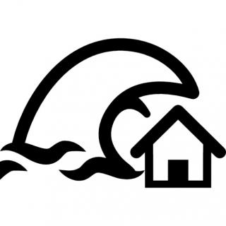 Tsunami Insurance Icon PNG images
