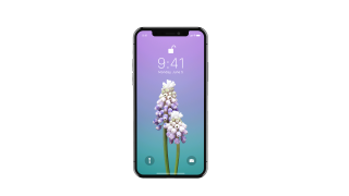 Apple IPhone X Png PNG images