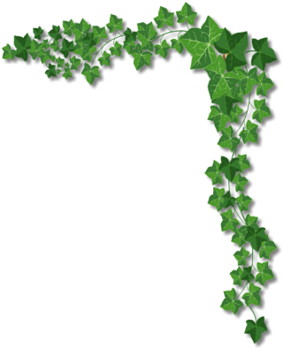 Ivy Corner Designs Png PNG images