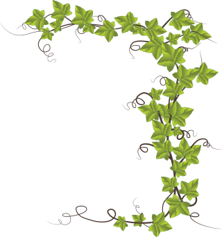 Ivy Leafs PNG images