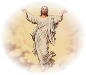 Download PNG Free Jesus PNG images