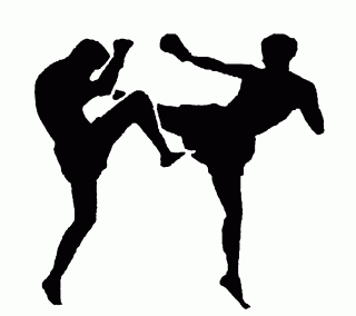 Download Ico Kickboxing PNG images