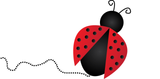 Symbol Ladybug Icon PNG images