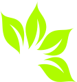 Leaf Transparent Icon PNG images