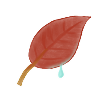 Download Icon Leaf Png PNG images