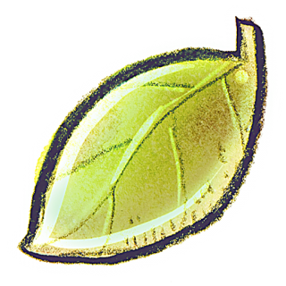 Download Leaf Icon PNG images