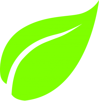 Leaf PNG, Leaf Transparent Background - FreeIconsPNG