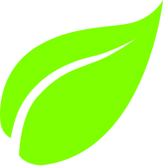 Leaf Png Save PNG images