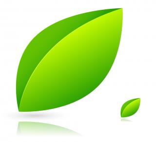 Leaf Ico Download PNG images