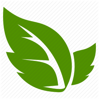 Download Icons Png Leaf PNG images
