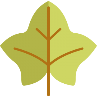 Free Leaf Png Vector Download PNG images