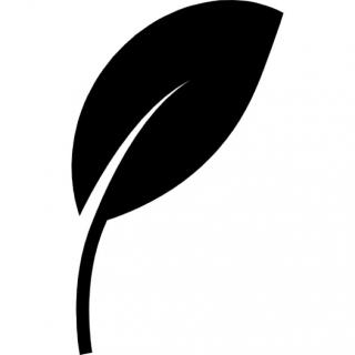 Leaf Png Simple PNG images