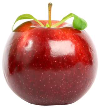 Apple Leaf Png PNG images