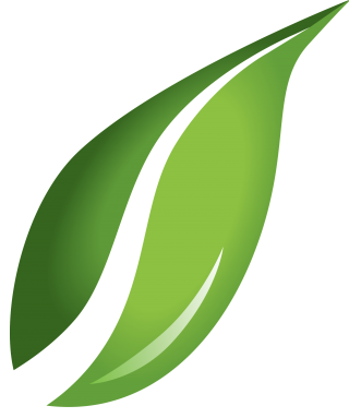 Green Leaves PNG PNG images