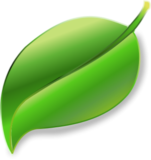 Leaf PNG, Leaf Transparent Background - FreeIconsPNG