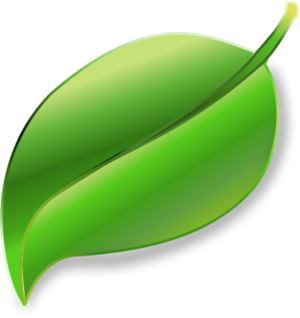 Free Download Leaf Png Images PNG images