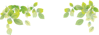 Transparent PNG Leaf PNG images