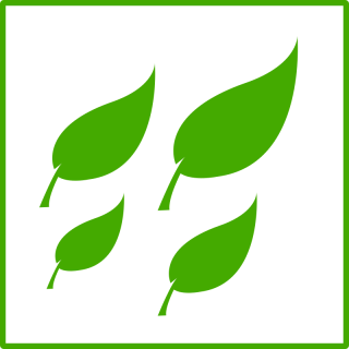 Eco Leaf, Leaves Icon Png PNG images