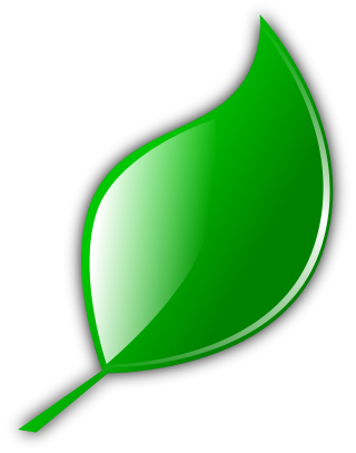 Leaf, Leave Icon Png PNG images