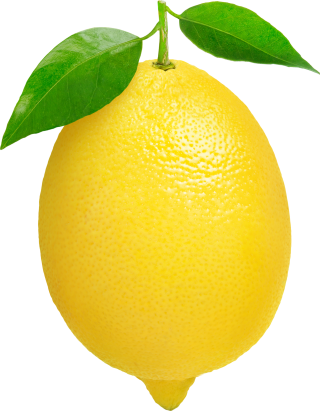 Leaf Lemon Png PNG images
