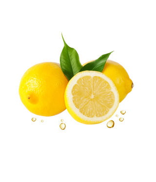 Lemon Leaf Png PNG images