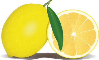 Lemon Png Transparent PNG images
