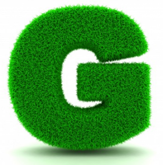 Letter G Size Icon PNG images