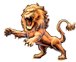 Lion Head Background Transparent PNG images