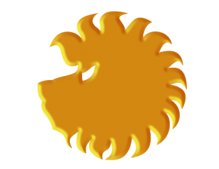 Photo Lion Head PNG PNG images