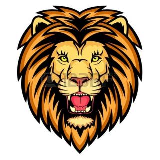 Lion Head Image PNG PNG images