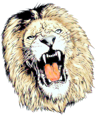 Png Clipart Lion Head Download PNG images
