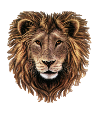 PNG Lion Head Transparent PNG images