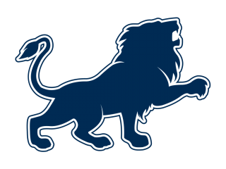 Lion Drawing Icon PNG images