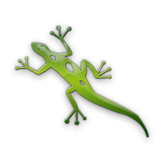 Green Lizard Icon PNG images