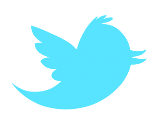 Logo Twitter Png Logo Twitter Transparent Background Freeiconspng