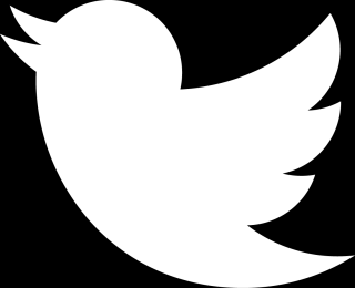 Logo Twitter PNG, Logo Twitter Transparent Background - FreeIconsPNG