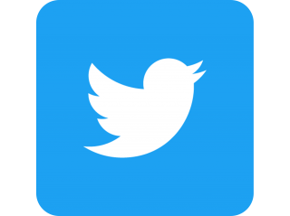 Logo Twitter PNG, Logo Twitter Transparent Background - FreeIconsPNG