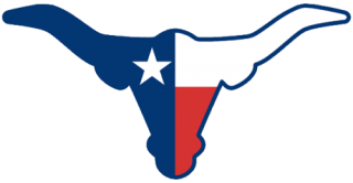 Longhorn Baseball Usa Flag Png PNG images