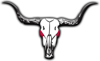 Free Download Longhorn Png Images PNG images