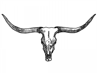 Texas Longhorns Png PNG images